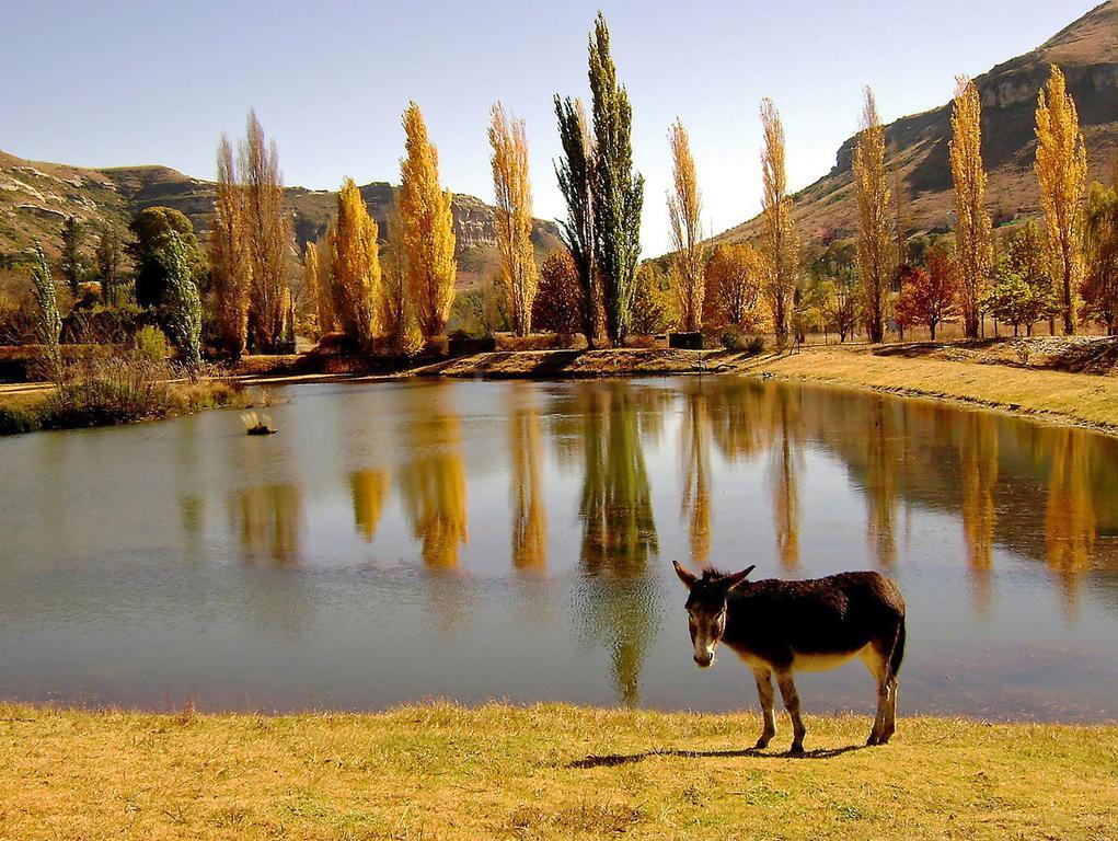 Lake Clarens Guest House Exterior foto