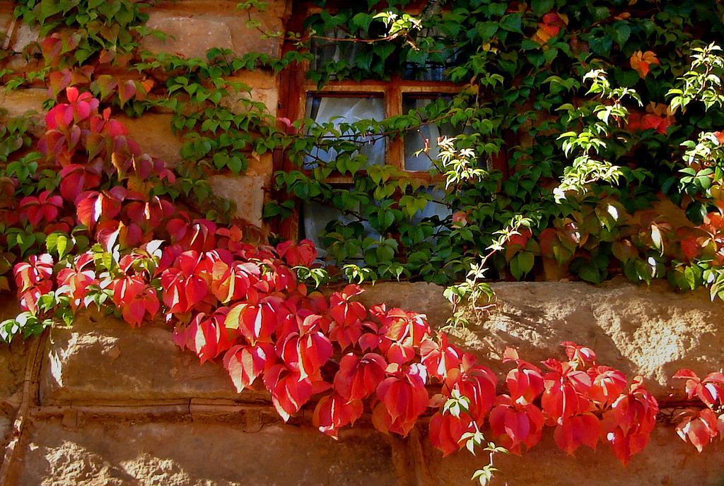 Lake Clarens Guest House Exterior foto