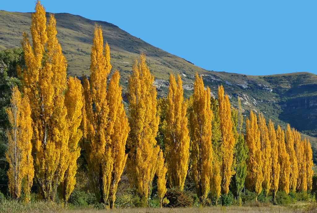 Lake Clarens Guest House Exterior foto