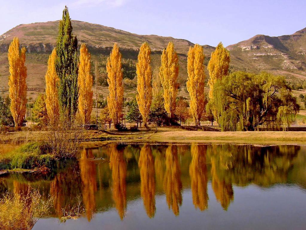 Lake Clarens Guest House Cameră foto